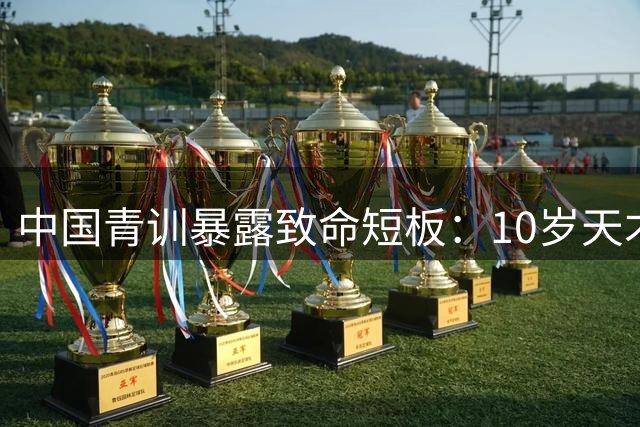 中国青训暴露致命短板：10岁天才示范如何真正踢团队足球