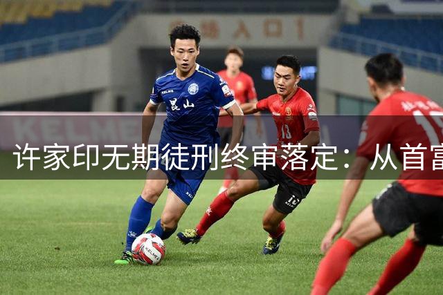 许家印无期徒刑终审落定：从首富到阶下囚的商业神话破灭